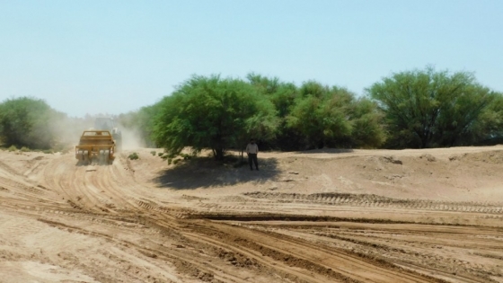 Lucha contra la desertificación y la sequía