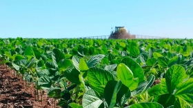 Los productores deben cosechar 1.870 kg/ha para cubrir los costos en soja de primera en Entre Ríos