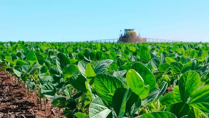 Los productores deben cosechar 1.870 kg/ha para cubrir los costos en soja de primera en Entre Ríos