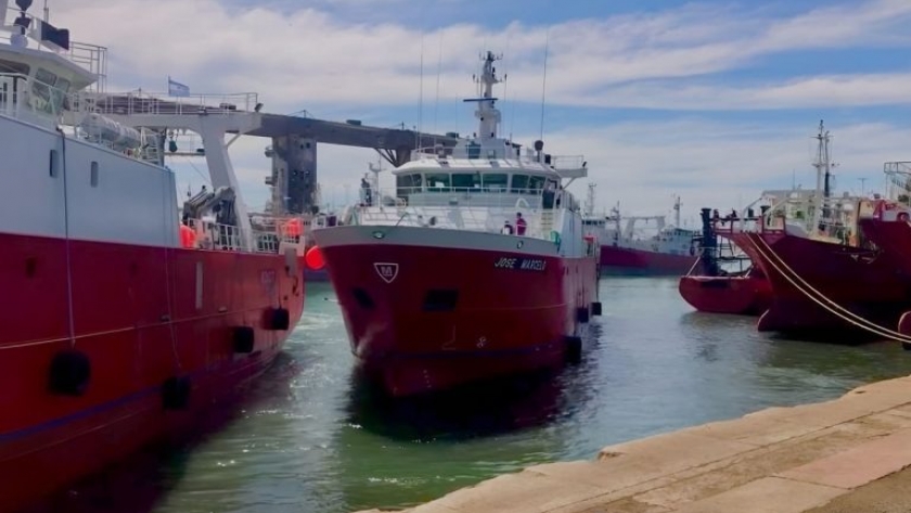 Cambios en la pesca: Mar del Plata gana protagonismo mientras cae la actividad en puertos del sur