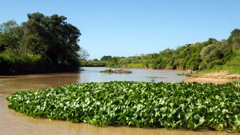 Ambiente convocó a especialistas dedicados a la conservación y el manejo de los humedales argentinos