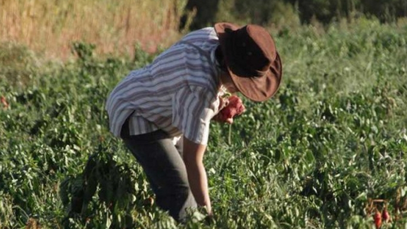 Agricultura destina más de $ 32 millones en proyectos para el sector hortícola agroecológico bonaerense