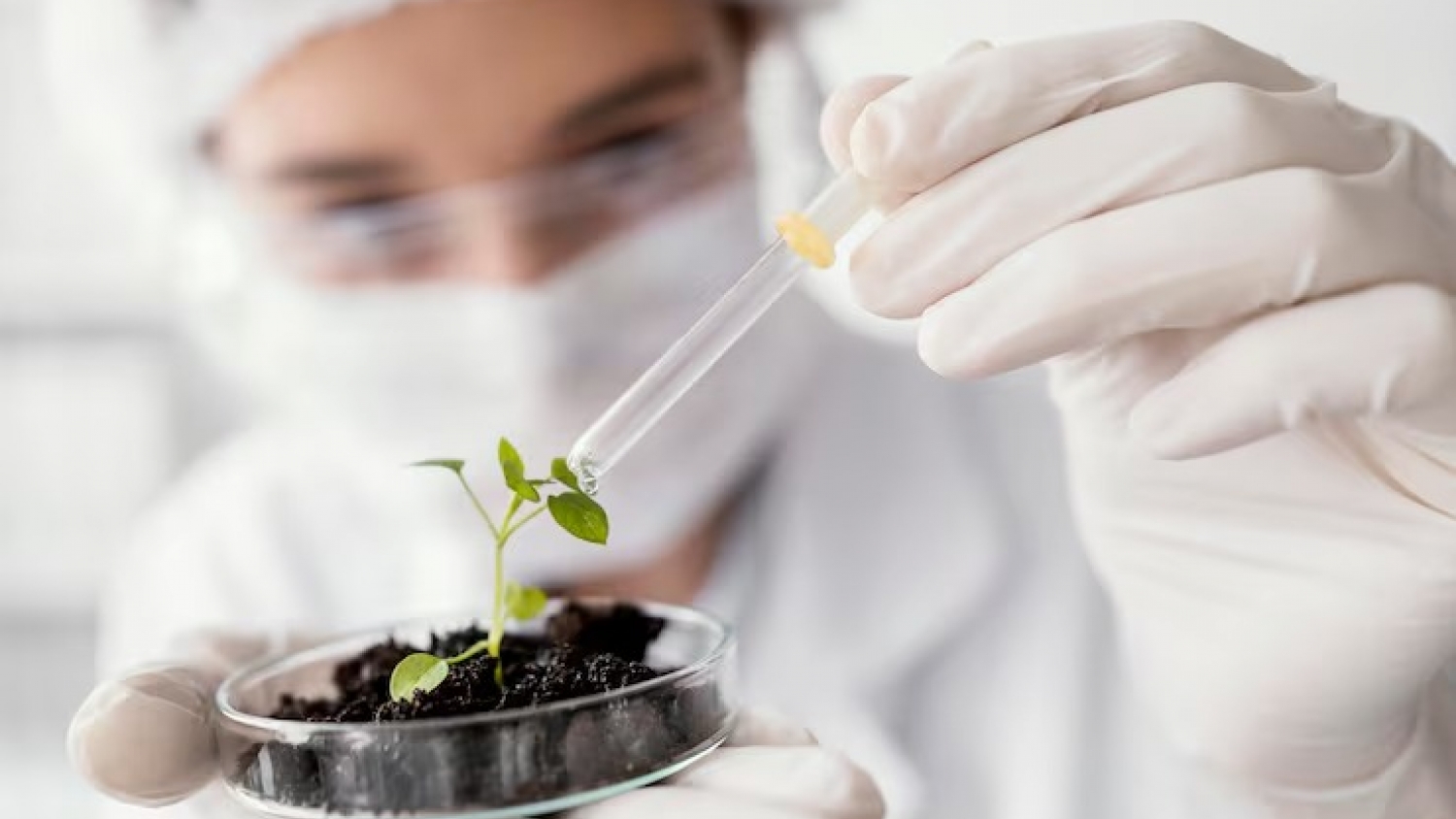 El Gobierno actualizó la normativa sobre organismos genéticamente modificados para impulsar la innovación en el agro