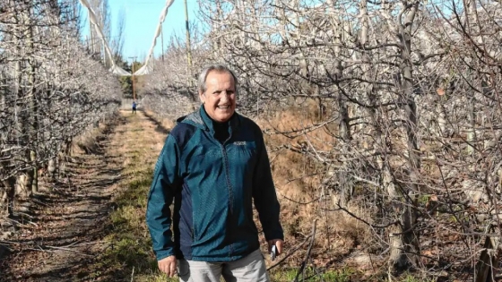 De capital de la fruta a tierra en disputa: la larga caída del Alto Valle