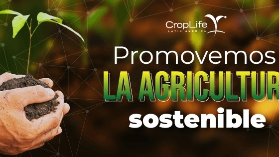 La agricultura latinoamericana pide más innovación y combate al comercio ilegal, alerta CropLife