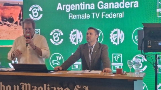 La demanda de genética impulsa el negocio ganadero: prevén una campaña récord para las cabañas de reproductores
