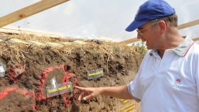 Un estudio del INTA revela cómo el manejo agrícola modifica la estructura del suelo y la protección del carbono