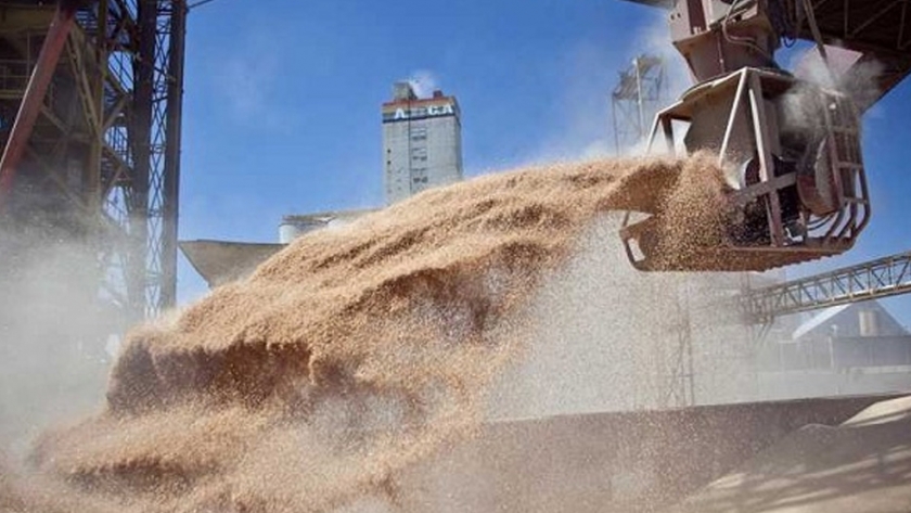 Agricultura y la Bolsa de Comercio de Rosario trabajan en conjunto frente a la pandemia