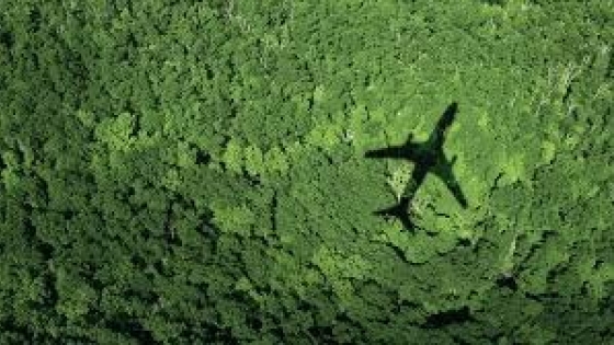 La hoja de ruta de las agencias de viaje para descarbonizar el turismo global