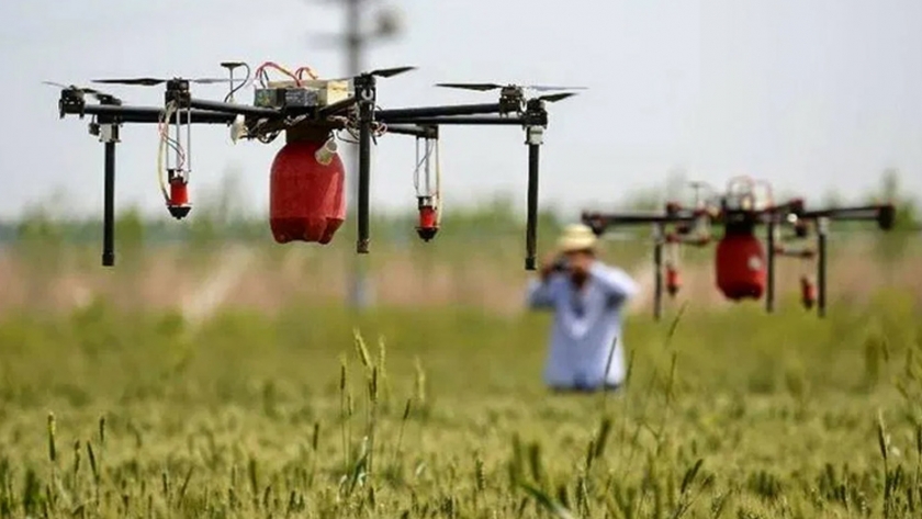 Agricultura impulsará programas de transferencia tecnológica agropecuaria en Chiapas