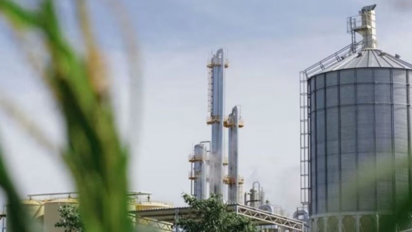 Se autorizó la comercialización de una nueva levadura que opitimiza la producción de bioetanol