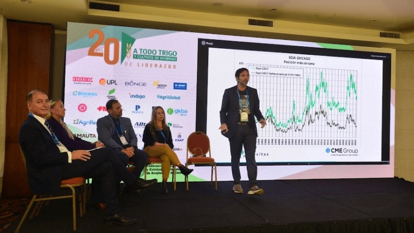 Mercado del trigo 2024/25: ¿esperar, vender o hacer alguna cobertura?