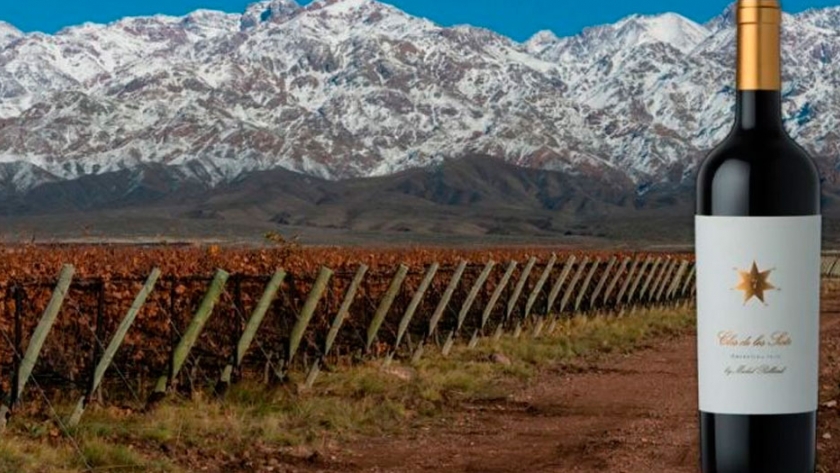 Impresionante: este es el vino argentino que recibió una seguidilla de reconocimientos