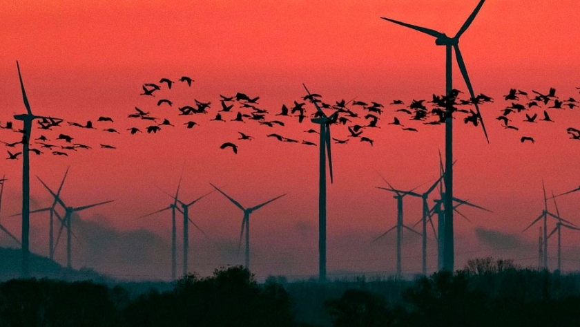 Alemania busca hacer atractiva la energía eólica ofreciendo subsidios