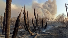 En lo que va del año, los incendios forestales afectaron más de 84 mil hectáreas en toda la provincia