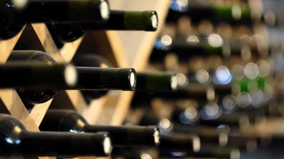 Dos vinos mendocinos logran el máximo reconocimiento internacional
