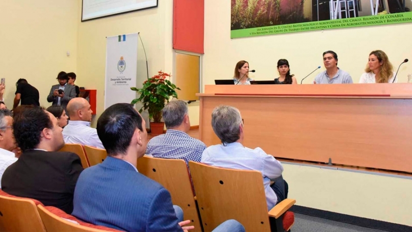 El gobierno chaqueño impulsa los bonos verdes