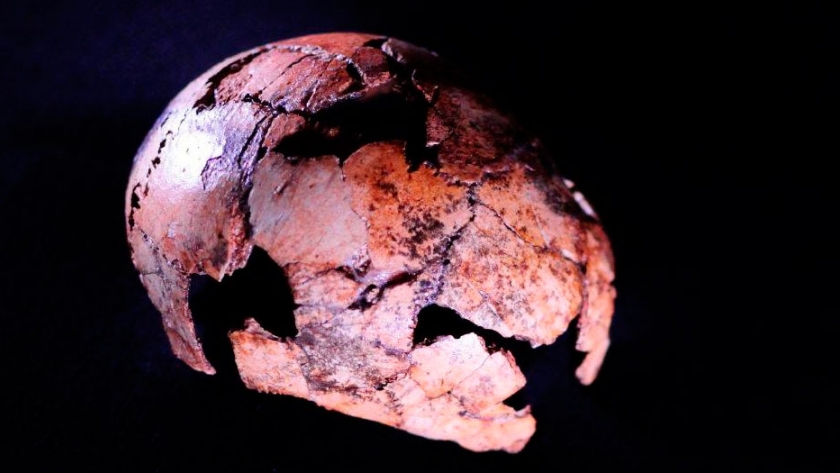 Hallados en Sudáfrica los fósiles más antiguos de Homo erectus