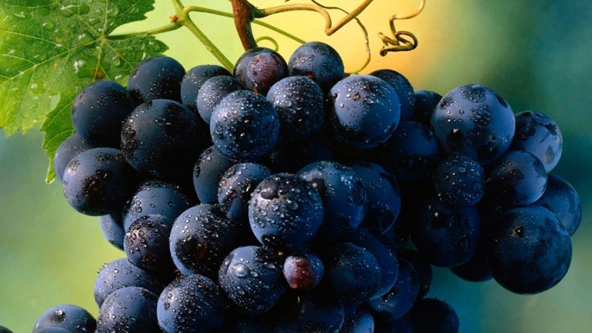 Beneficios del orujo del Malbec en alimentos