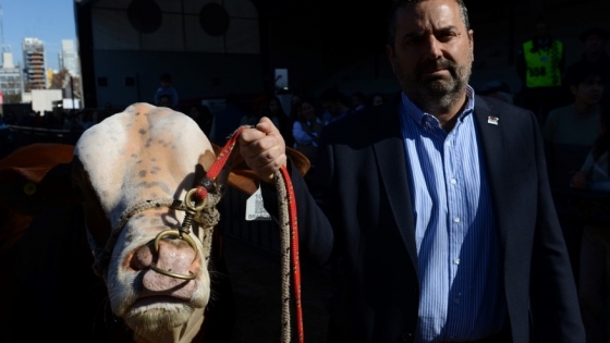 Exportación: clave para el crecimiento de la ganadería Braford en Argentina