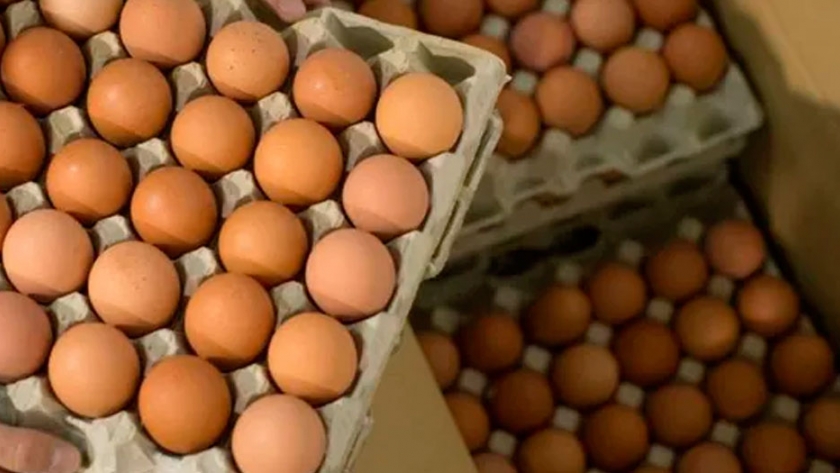 Productores de huevo piden una recomposición en los precios y no descartan que el país importe por falta de producción