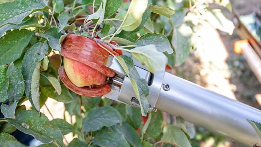 Japón desarrolla un robot para recolectar frutas para combatir la falta de mano de obra