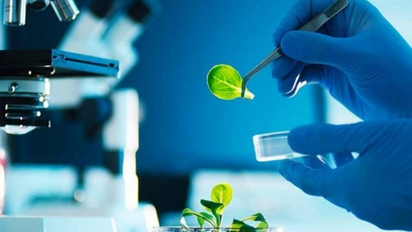 Nuevas normativas para el registro de bioinsumos y la inscripción de biopreparados