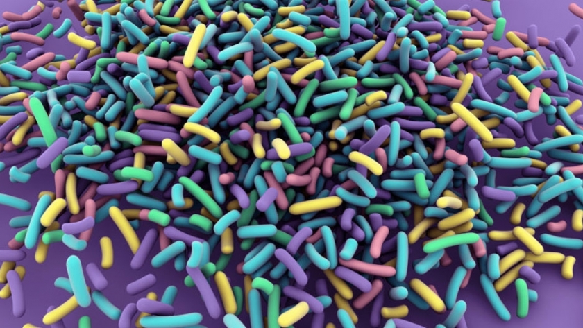 Superbacterias: ¿Por qué las infecciones bacterianas transmitidas por los alimentos se resisten?