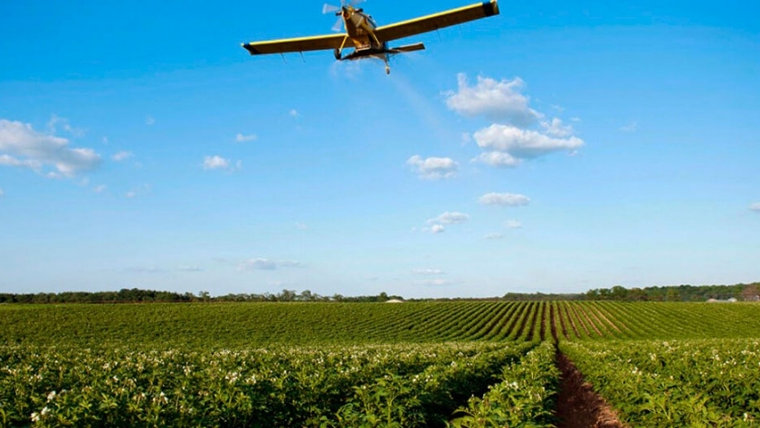 Siembra aérea, una práctica para combatir malezas y cuidar el medio ambiente