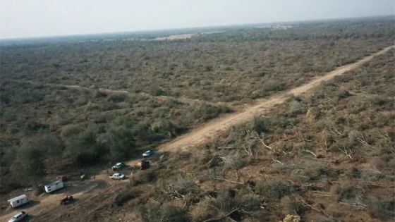 Un depredador reincidente desmontó 240 hectáreas