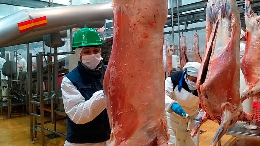 Santa Cruz despachó 15 toneladas de carne ovina congelada con hueso a Japón