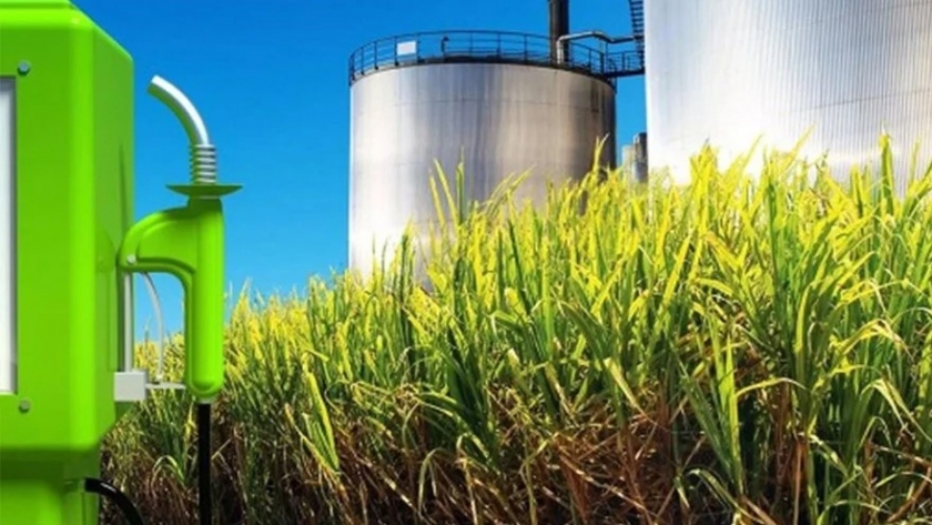 El Gobierno aumentó el precio del bioetanol destinado la fabricación de combustibles