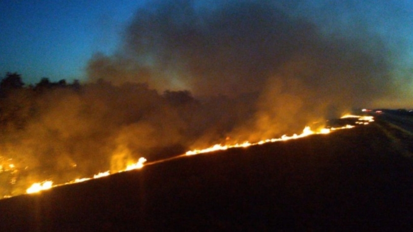Acciones coordinadas en respuesta a los incendios en zona de Islas Lechiguanas