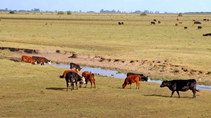Usurpación de tierras: las cadenas agrícolas, alarmadas por la "pasividad" del Estado