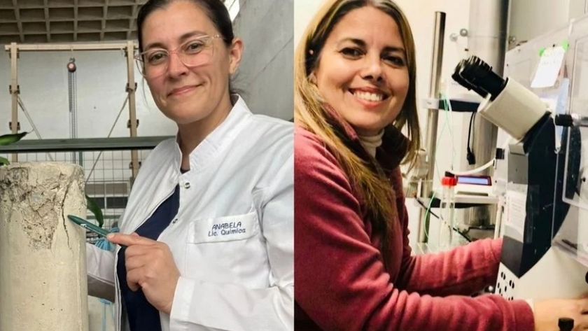 Dos científicas argentinas desarrollaron bacterias capaces de reparar estructuras de hormigón