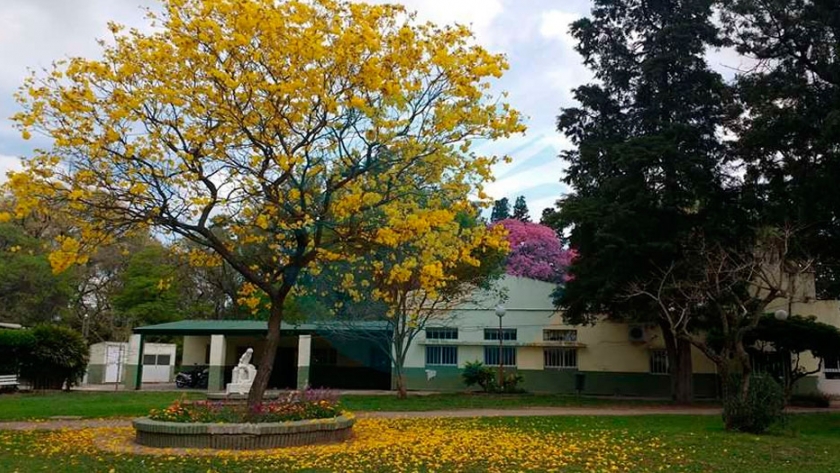 Volver a la vida del tambo de Escuela Granja de Esperanza, buscando resultados de alta eficiencia
