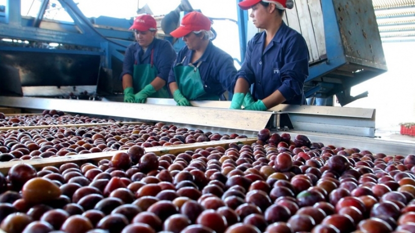 Nuevas incorporaciones a la Ley de Registro de Contratos para la Comercialización de Productos Agrícolas