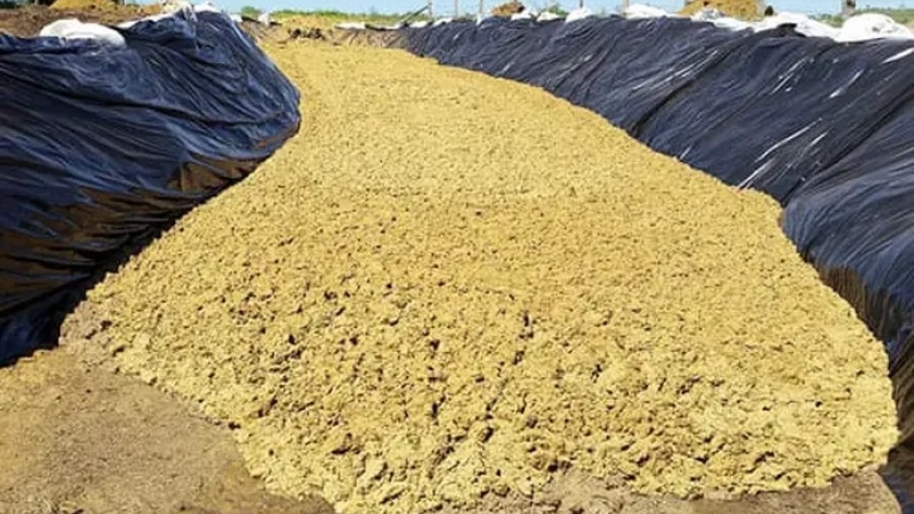 Del descarte industrial a la proteína del futuro: cómo el bagazo cervecero empieza a transformarse en carne y alimentos humanos