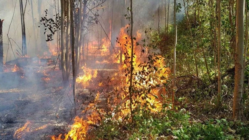 Con 30 brigadistas y medios aéreos continúa el combate de incendios en el Delta