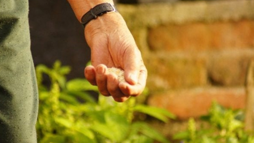 La agricultura del futuro: coséchelo usted mismo