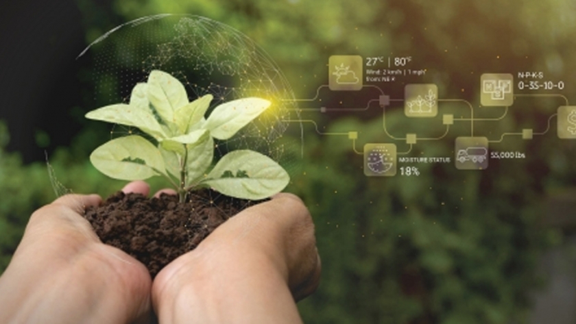 Blockchain aporta un nuevo nivel de confianza a la agricultura