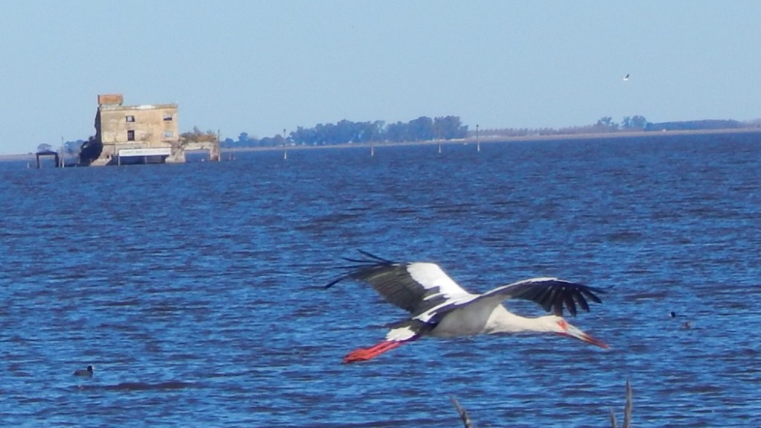 Melincué, el destino natural con flamencos y deportes acuáticos