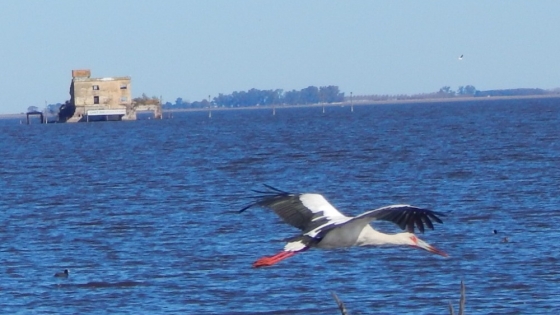 Melincué, el destino natural con flamencos y deportes acuáticos
