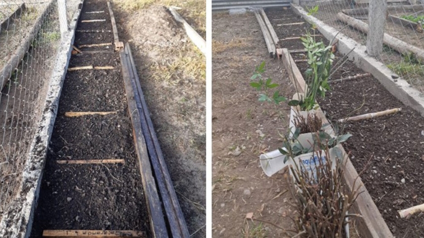 INTA Salta trabaja en acciones forestales junto al Municipio de San Lorenzo, Salta