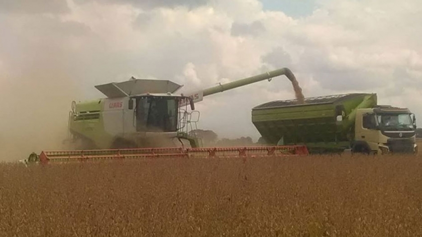 Agricultura: Postcosecha de granos