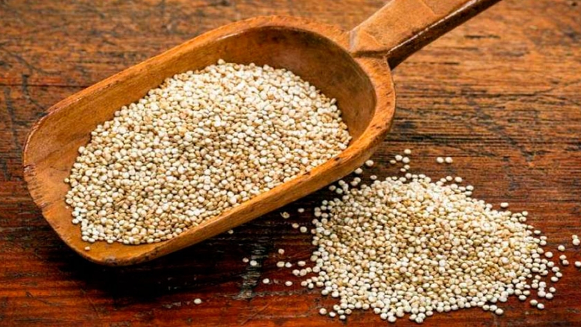 Quinua: el grano de oro que quiere brillar en Mendoza