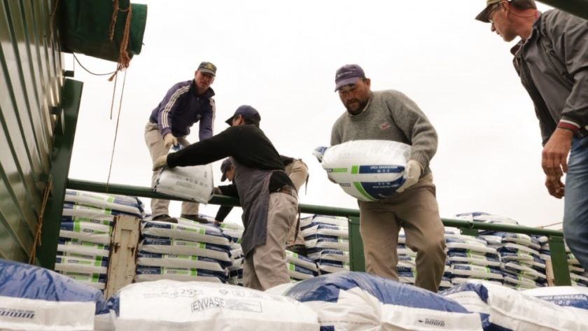 Apoyo a los productores tealeros
