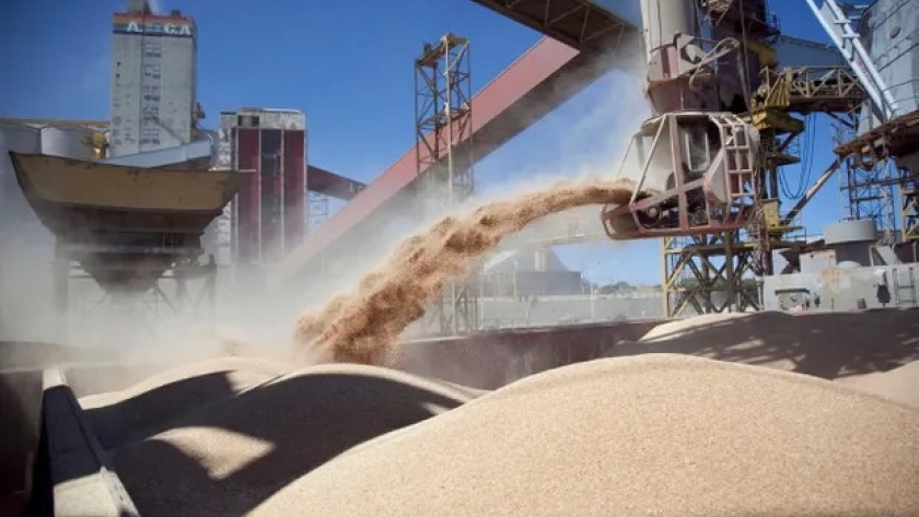China recorta drásticamente sus importaciones de soja: el nivel más bajo en una década