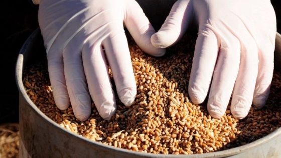 Presentan un portal web para potenciar productos y servicios