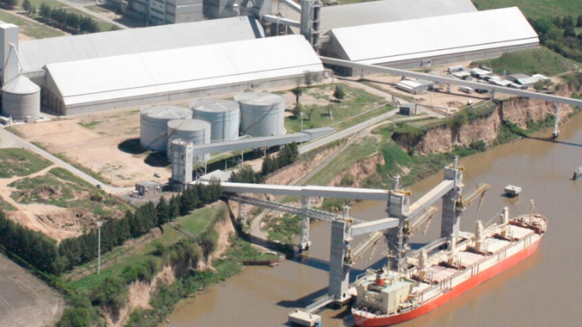 Roulet asegura que la industria sojera ganó US$ 20 millones extras por la baja de retenciones